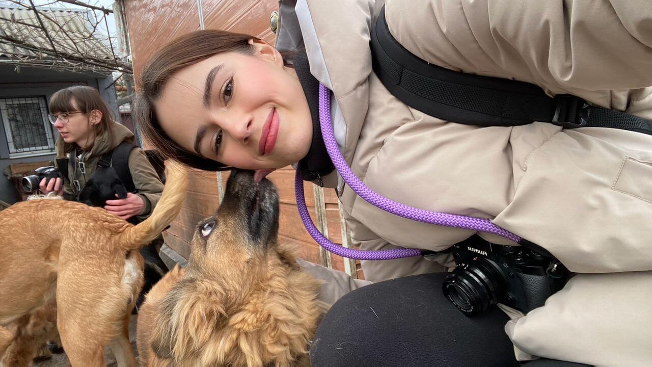 Veterinários realizando mutirão de castração